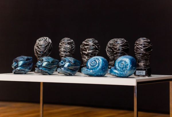 В столице Азербайджана завершил работу DokuBaku (ФОТО)