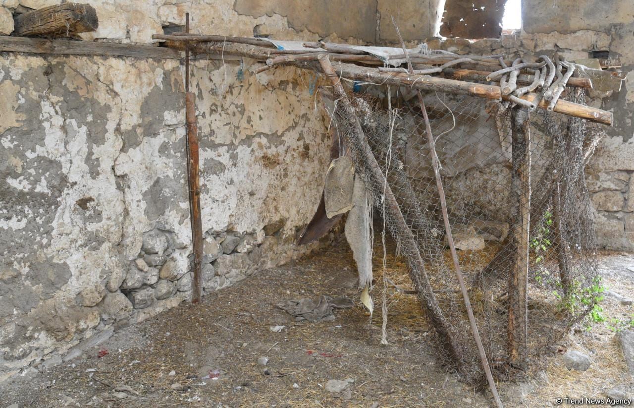 Начался визит на освобожденные территории участников I Форума мозговых центров Азербайджана (ФОТО)