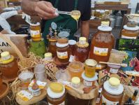 На ярмарке продукции пчеловодства в Баку представлен мед, произведенный в Восточном Зангезуре и Карабахе (ФОТО)
