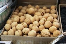 Путешествие в Самарканд – красочный Узбекистан в одном "Вечном городе" и дурманящие ароматы  древнего Сиабского базара (ВИДЕО, ФОТО, часть 1)