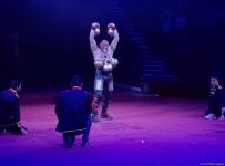 Номер с карабахскими скакунами - Бакинский цирк провел благотворительный показ для детей шехидов (ФОТО)