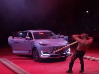 Номер с карабахскими скакунами - Бакинский цирк провел благотворительный показ для детей шехидов (ФОТО)