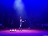 Номер с карабахскими скакунами - Бакинский цирк провел благотворительный показ для детей шехидов (ФОТО)