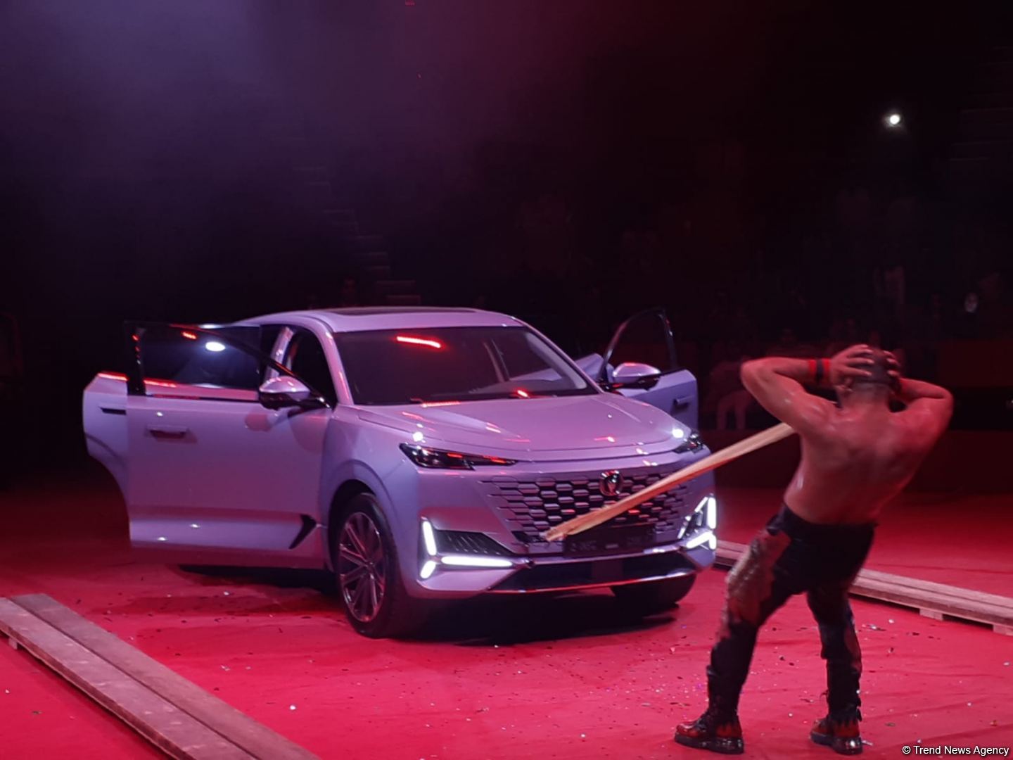 Номер с карабахскими скакунами - Бакинский цирк провел благотворительный показ для детей шехидов (ФОТО)