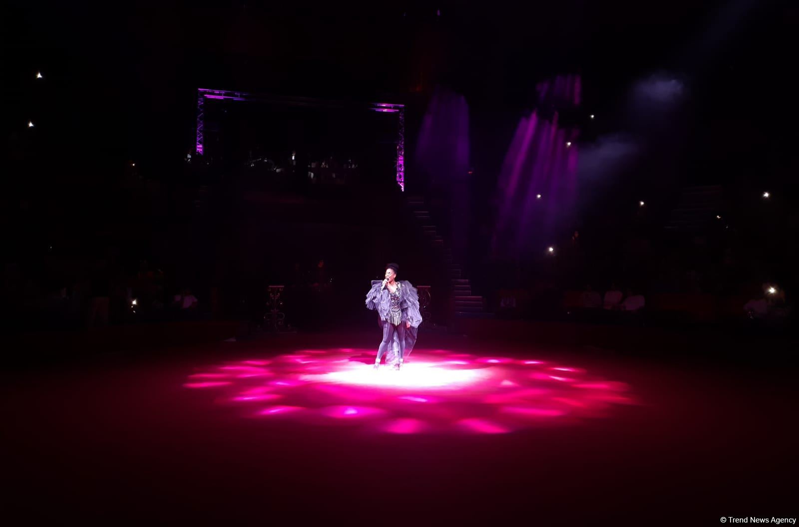 Номер с карабахскими скакунами - Бакинский цирк провел благотворительный показ для детей шехидов (ФОТО)