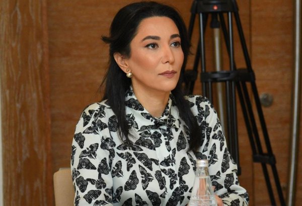 Омбудсмен Азербайджана осудила теракт, совершенный в Турции