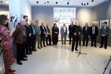 Акварельная лирика в осеннем Баку c 55-ю оттенками (ФОТО)