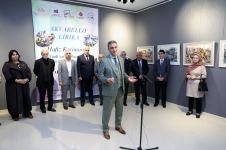 Акварельная лирика в осеннем Баку c 55-ю оттенками (ФОТО)