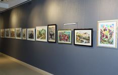 Акварельная лирика в осеннем Баку c 55-ю оттенками (ФОТО)