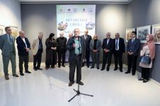 Акварельная лирика в осеннем Баку c 55-ю оттенками (ФОТО)