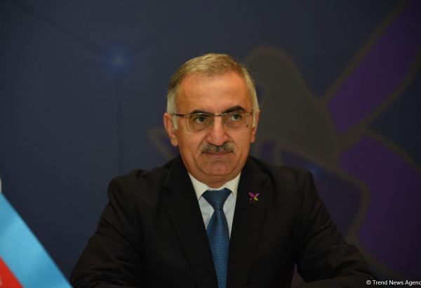 Обмен опытом в сфере регулирования аудиовизуальных медиа имеет важное значение – Эльмир Велизаде