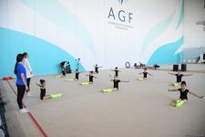 В Национальной арене гимнастики в Баку проходят учебно-тренировочные сборы спортсменок из Мингячевира (ФОТО)