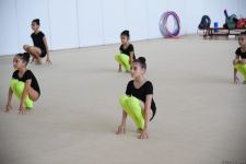 В Национальной арене гимнастики в Баку проходят учебно-тренировочные сборы спортсменок из Мингячевира (ФОТО)