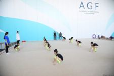 В Национальной арене гимнастики в Баку проходят учебно-тренировочные сборы спортсменок из Мингячевира (ФОТО)