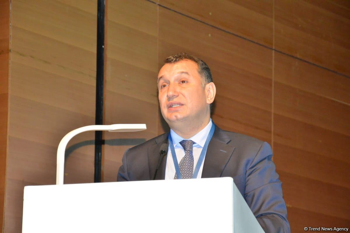 В Баку проходит 15-й Веронский Евразийский экономический форум (ФОТО)