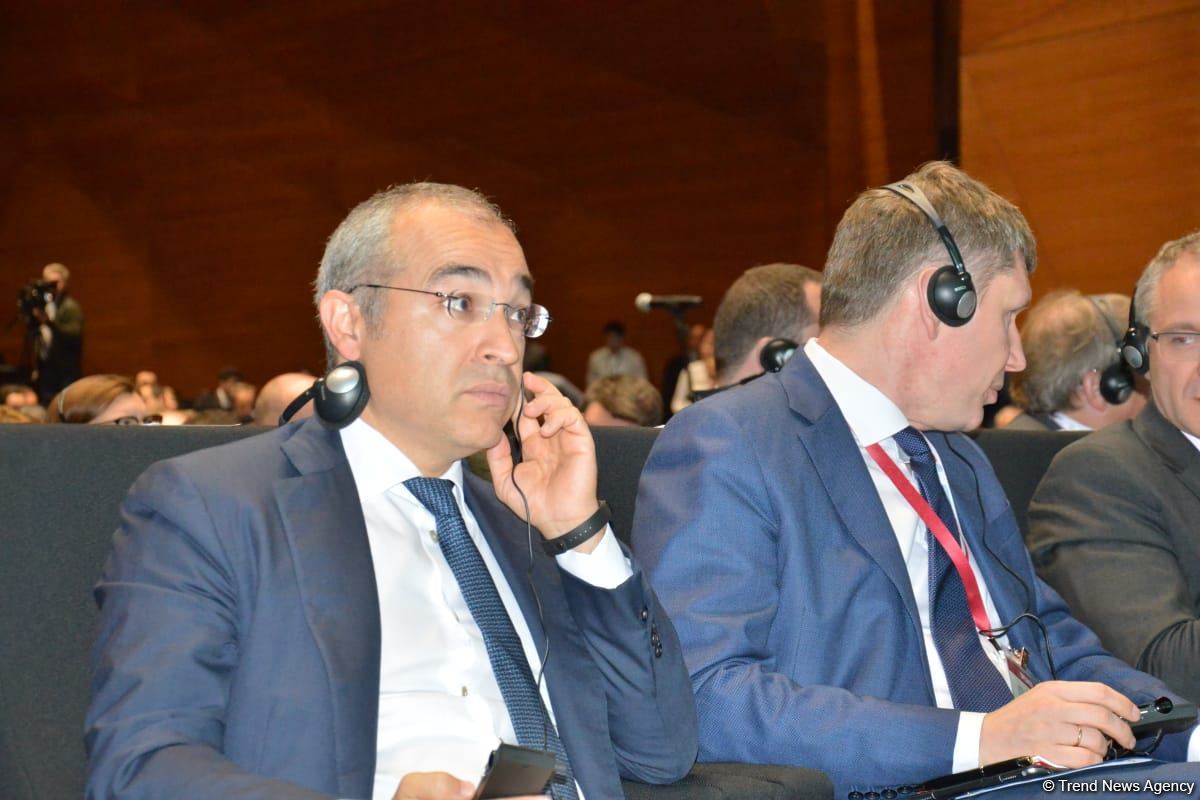 В Баку проходит 15-й Веронский Евразийский экономический форум (ФОТО)