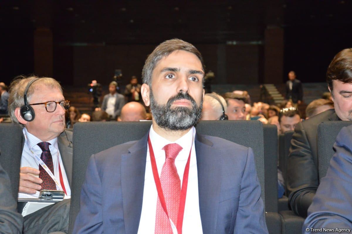 В Баку проходит 15-й Веронский Евразийский экономический форум (ФОТО)