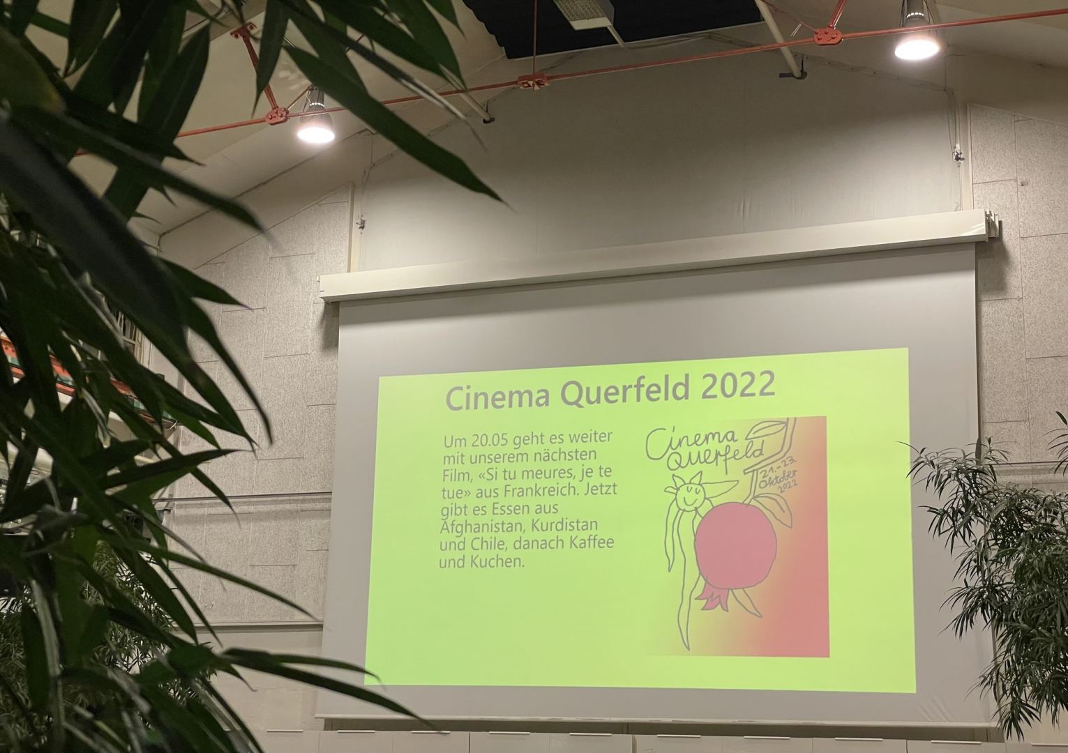 В Базеле появился азербайджанский гранатовый сад (ФОТО)