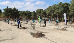 Вице-президент Фонда Гейдара Алиева Лейла Алиева приняла участие в первой акции по посадке деревьев к осеннему сезону «Общереспубликанского озеленительного марафона» (ФОТО)