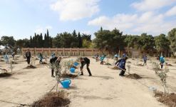 Вице-президент Фонда Гейдара Алиева Лейла Алиева приняла участие в первой акции по посадке деревьев к осеннему сезону «Общереспубликанского озеленительного марафона» (ФОТО)