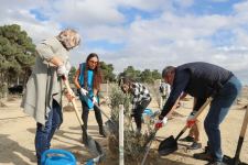 Вице-президент Фонда Гейдара Алиева Лейла Алиева приняла участие в первой акции по посадке деревьев к осеннему сезону «Общереспубликанского озеленительного марафона» (ФОТО)