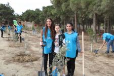 Вице-президент Фонда Гейдара Алиева Лейла Алиева приняла участие в первой акции по посадке деревьев к осеннему сезону «Общереспубликанского озеленительного марафона» (ФОТО)