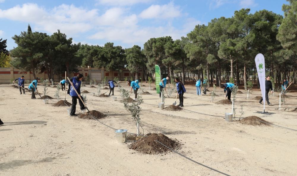 Вице-президент Фонда Гейдара Алиева Лейла Алиева приняла участие в первой акции по посадке деревьев к осеннему сезону «Общереспубликанского озеленительного марафона» (ФОТО)