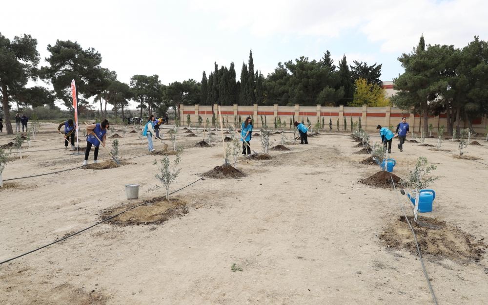Вице-президент Фонда Гейдара Алиева Лейла Алиева приняла участие в первой акции по посадке деревьев к осеннему сезону «Общереспубликанского озеленительного марафона» (ФОТО)