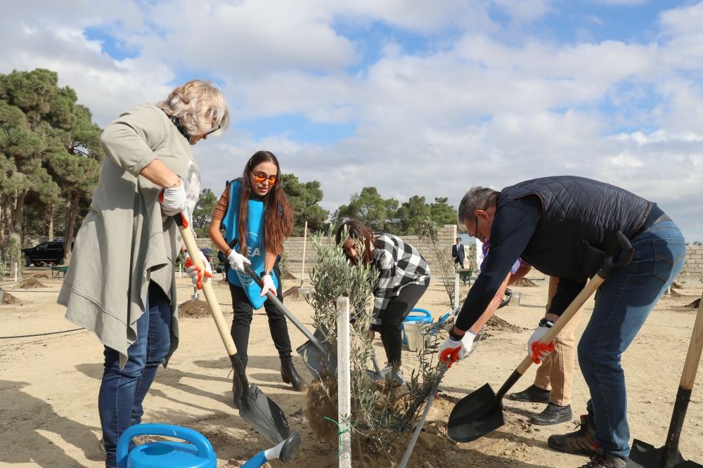 Вице-президент Фонда Гейдара Алиева Лейла Алиева приняла участие в первой акции по посадке деревьев к осеннему сезону «Общереспубликанского озеленительного марафона» (ФОТО)