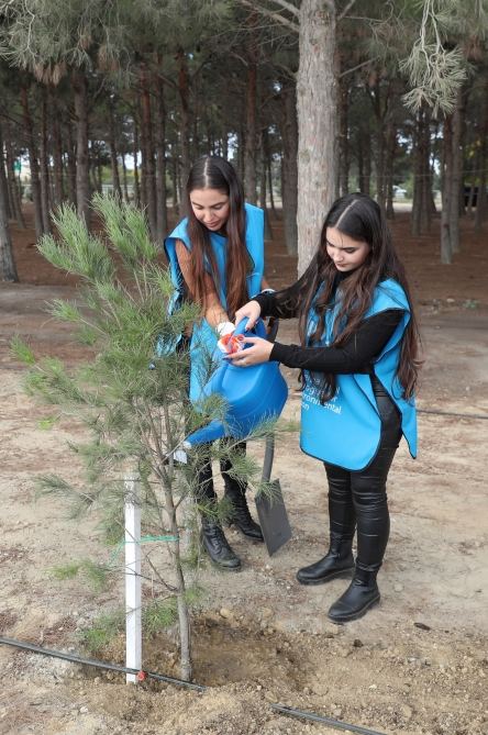 Вице-президент Фонда Гейдара Алиева Лейла Алиева приняла участие в первой акции по посадке деревьев к осеннему сезону «Общереспубликанского озеленительного марафона» (ФОТО)