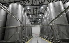 Президент Ильхам Алиев принял участие в открытии завода по переработке оливкового масла и столовых оливок в поселке Зиря (ФОТО/ВИДЕО)