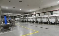 Президент Ильхам Алиев принял участие в открытии завода по переработке оливкового масла и столовых оливок в поселке Зиря (ФОТО/ВИДЕО)