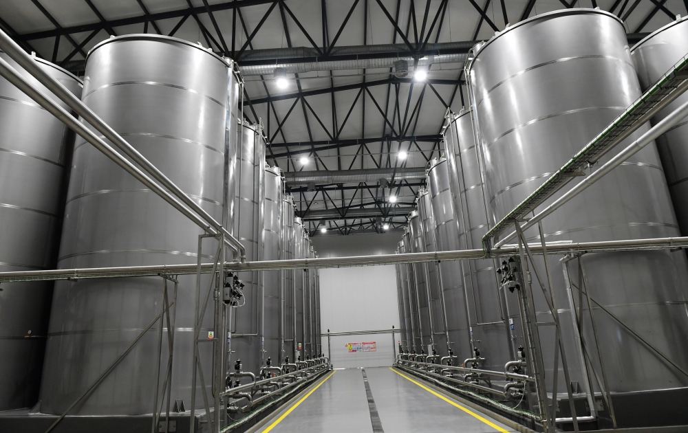 Президент Ильхам Алиев принял участие в открытии завода по переработке оливкового масла и столовых оливок в поселке Зиря (ФОТО/ВИДЕО)