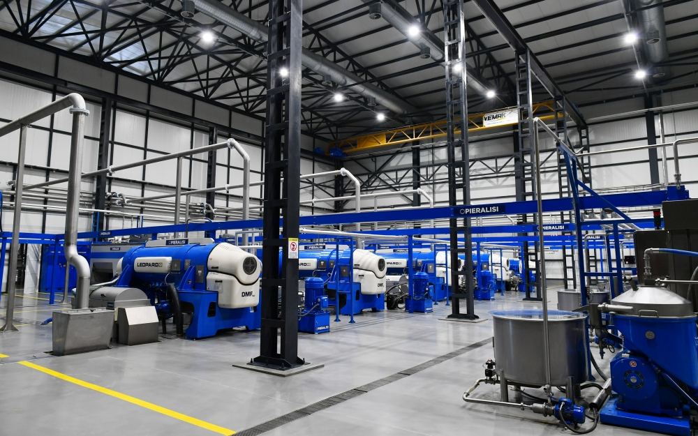 Президент Ильхам Алиев принял участие в открытии завода по переработке оливкового масла и столовых оливок в поселке Зиря (ФОТО/ВИДЕО)