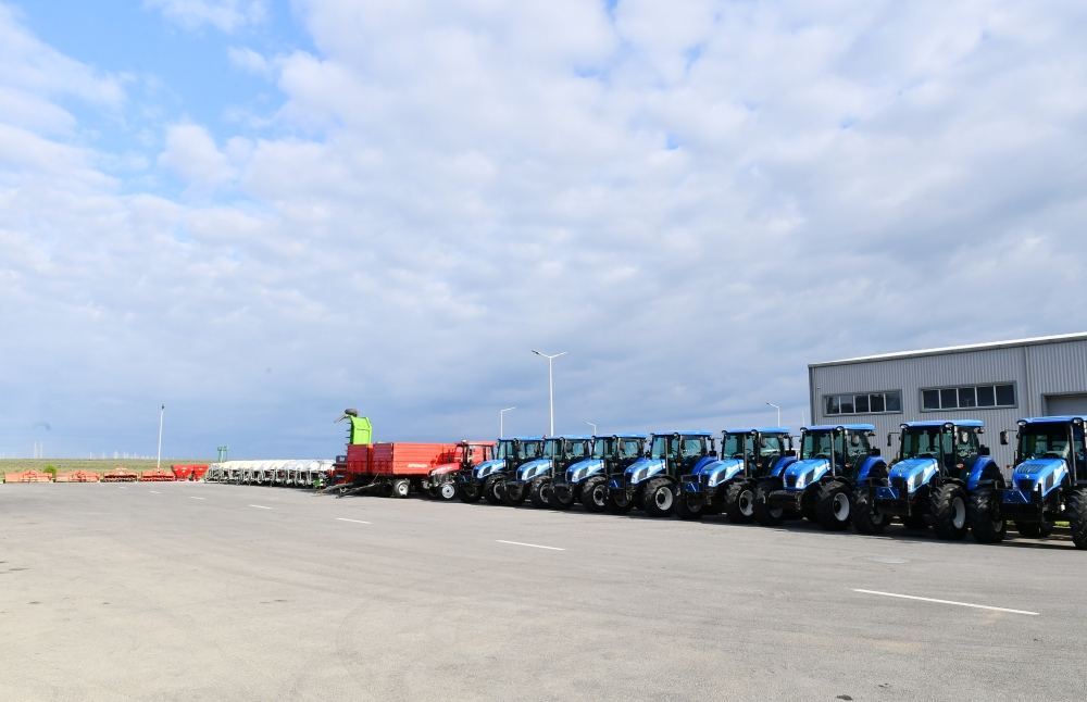 Президент Ильхам Алиев принял участие в открытии завода по переработке оливкового масла и столовых оливок в поселке Зиря (ФОТО/ВИДЕО)