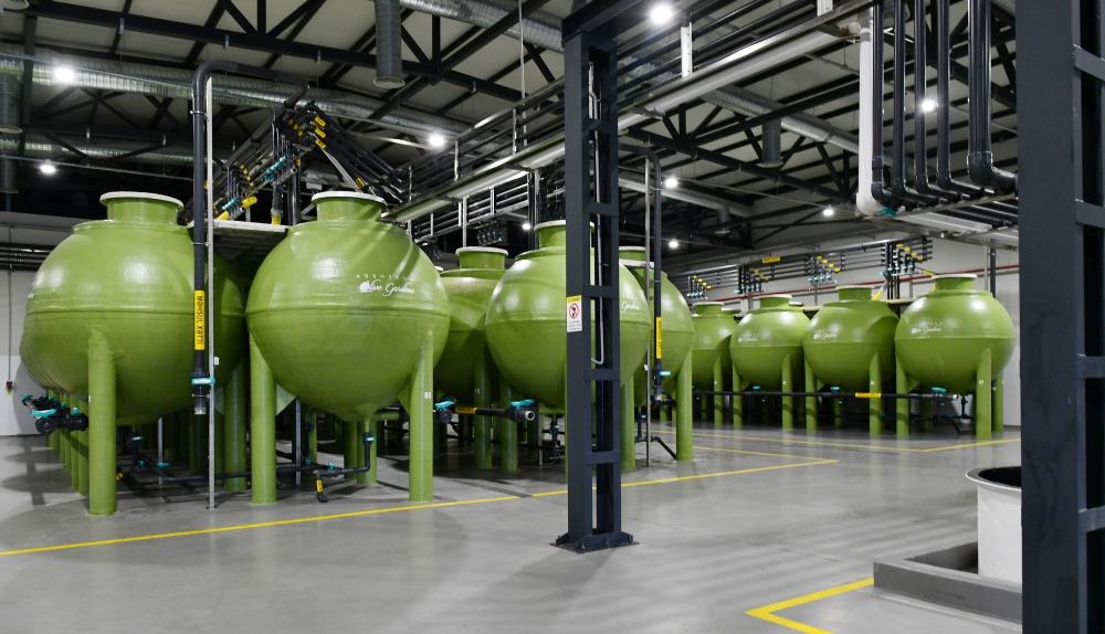 Президент Ильхам Алиев принял участие в открытии завода по переработке оливкового масла и столовых оливок в поселке Зиря (ФОТО/ВИДЕО)