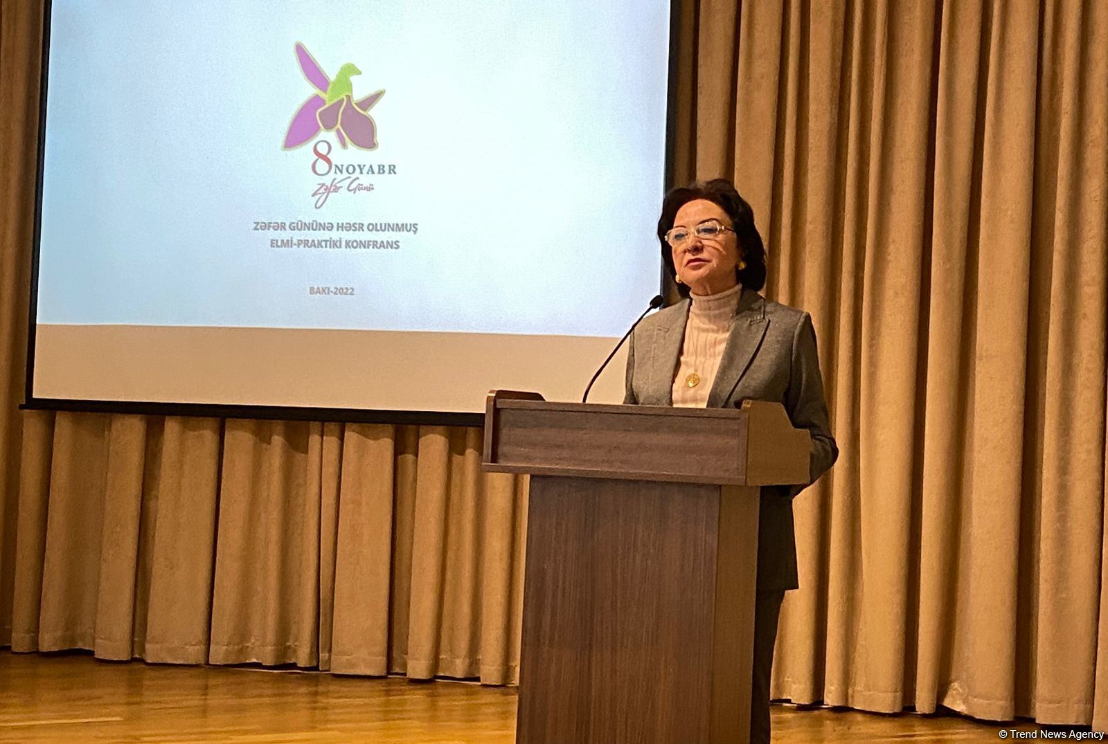 Армия Азербайджана в числе 50 самых сильных армий мира - Гюльчохра Мамедова