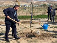 В День Победы в селе Агалы Зангиланского района посадили фруктовые деревья (ФОТО)