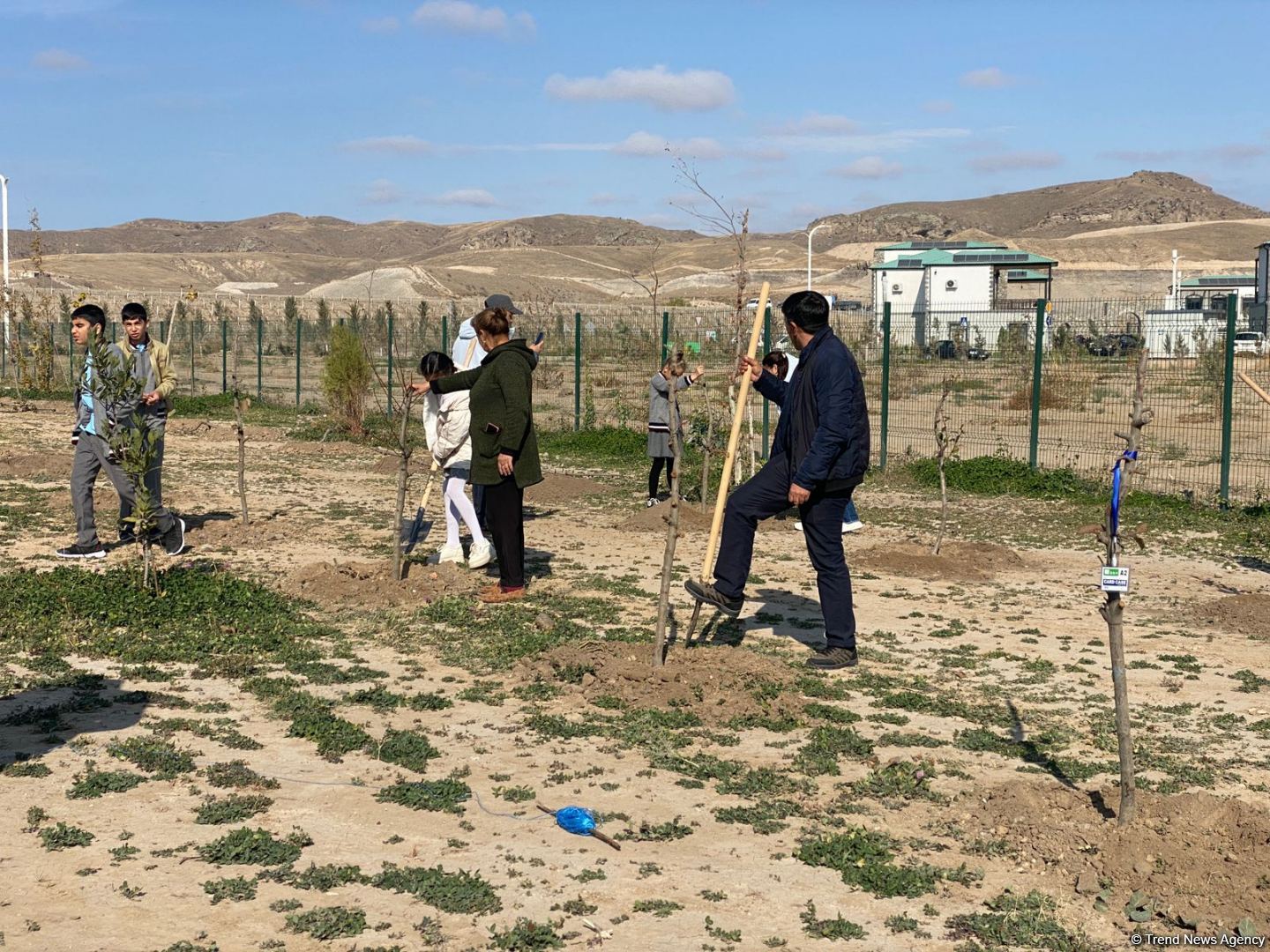 В День Победы в селе Агалы Зангиланского района посадили фруктовые деревья (ФОТО)