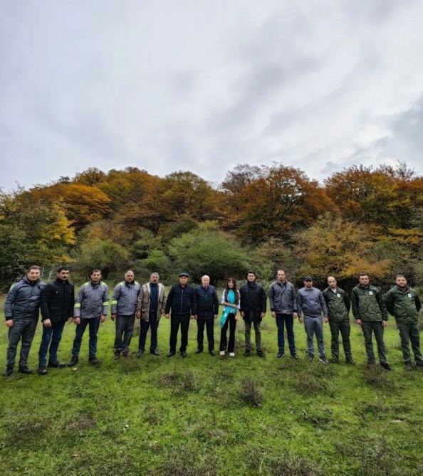 С участием вице-президента Фонда Гейдара Алиева Лейлы Алиевой в Исмаиллинском отделении Шахдагского национального парка состоялась церемония выпуска в дикую природу первых благородных оленей (ФОТО/ВИДЕО)