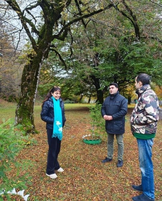 С участием вице-президента Фонда Гейдара Алиева Лейлы Алиевой в Исмаиллинском отделении Шахдагского национального парка состоялась церемония выпуска в дикую природу первых благородных оленей (ФОТО/ВИДЕО)