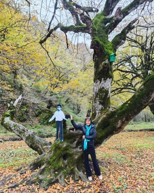 С участием вице-президента Фонда Гейдара Алиева Лейлы Алиевой в Исмаиллинском отделении Шахдагского национального парка состоялась церемония выпуска в дикую природу первых благородных оленей (ФОТО/ВИДЕО)