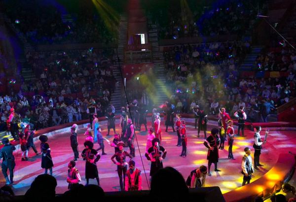 Чудеса эквилибристики, магия, сложные трюки – как проходит представление "Международный цирк: Победители фестиваля" в Баку (ФОТО)