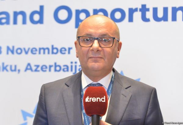 Международная поддержка процессу разминирования территорий Азербайджана не на том уровне, на котором хотелось бы - Вугар Сулейманов