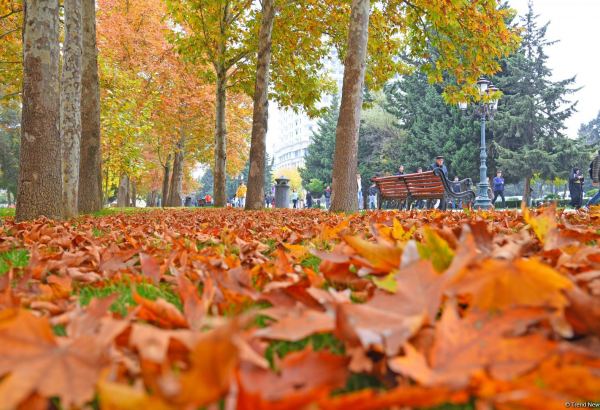 Бакинская осень - ФОТОСЕССИЯ