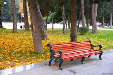 Бакинская осень - ФОТОСЕССИЯ