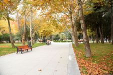 Бакинская осень - ФОТОСЕССИЯ