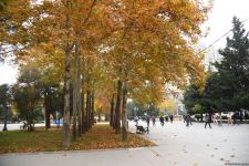 Бакинская осень - ФОТОСЕССИЯ