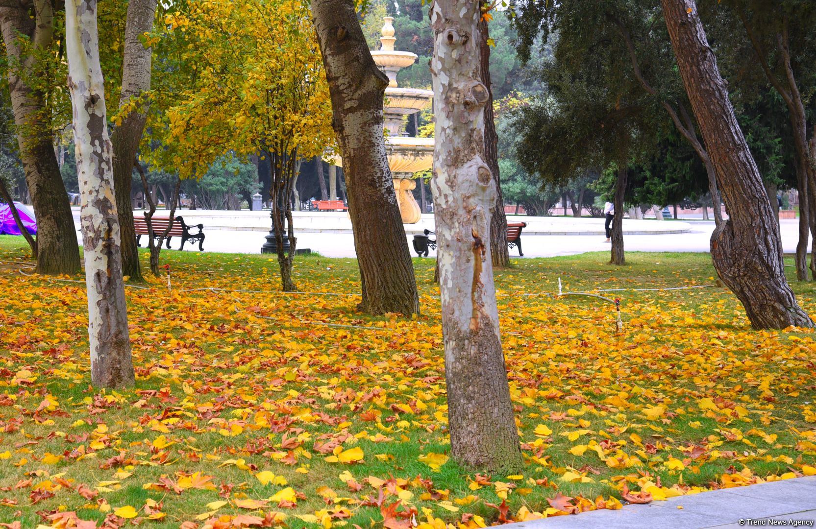Бакинская осень - ФОТОСЕССИЯ