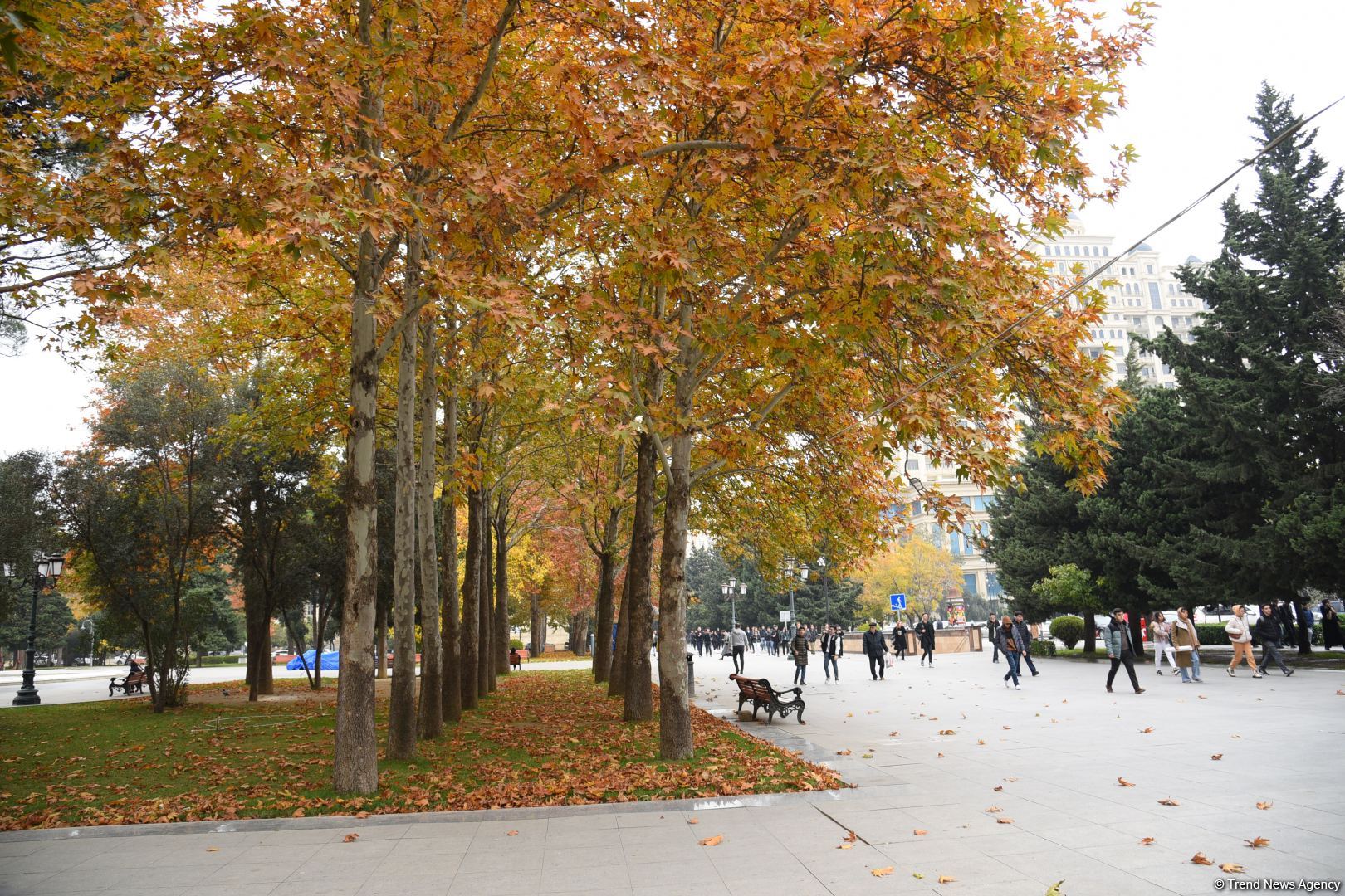 Бакинская осень - ФОТОСЕССИЯ